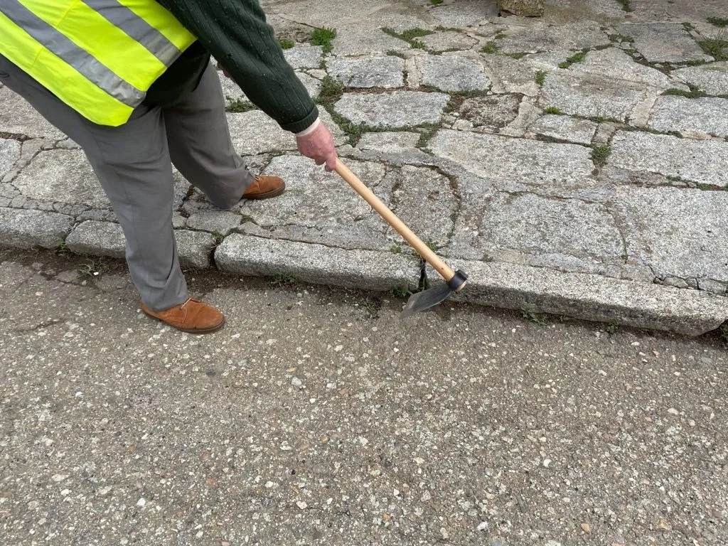 Foto 2 - Se incrementan las tareas de jardiner&iacute;a en Alba de Tormes en las &uacute;ltimas semanas