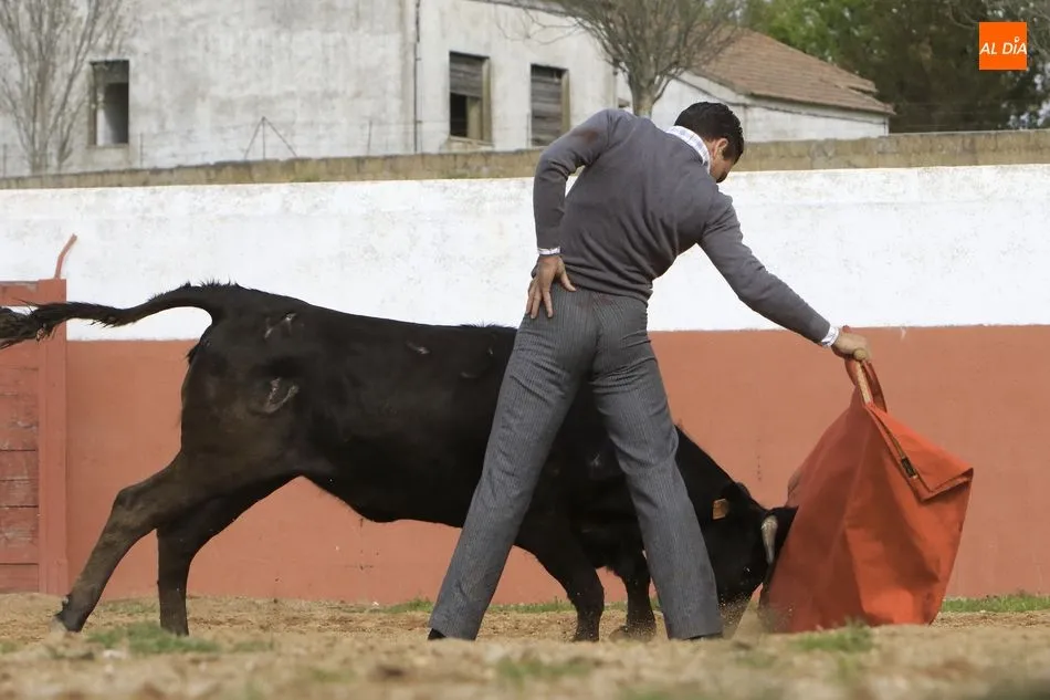 Foto 5 - Tentadero en la ganader&iacute;a Juan Luis Fraile