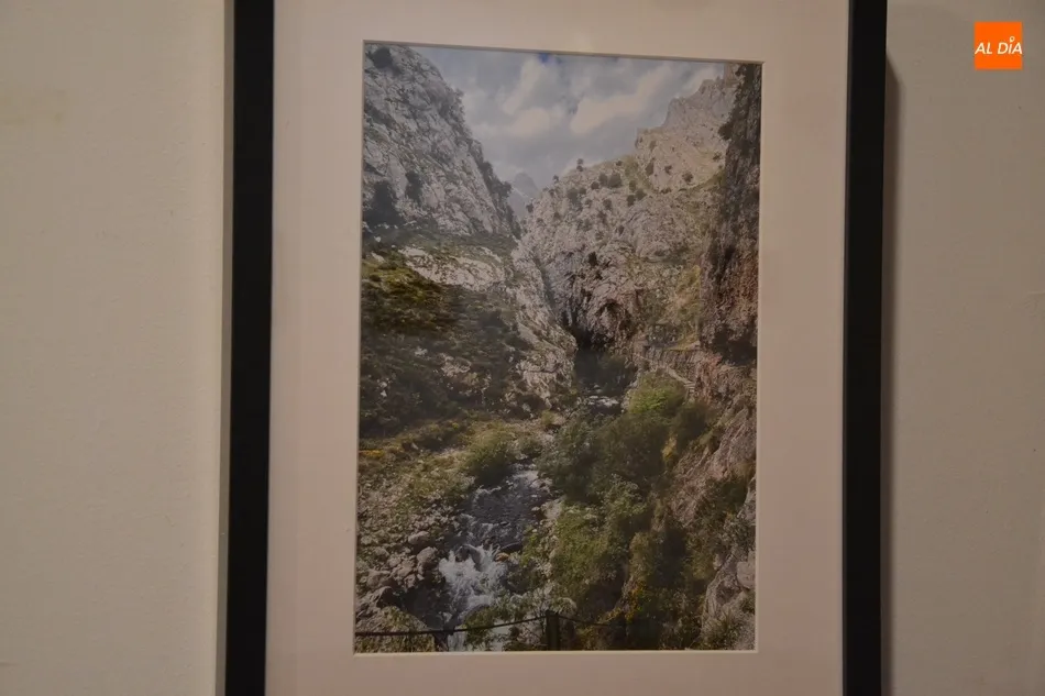 Foto 2 - El IES Fray Diego monta una exposici&oacute;n en la Casa de la Cultura con un fin solidario  