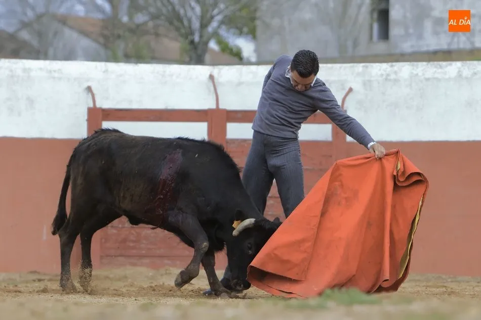 Foto 11 - Tentadero en la ganader&iacute;a Juan Luis Fraile