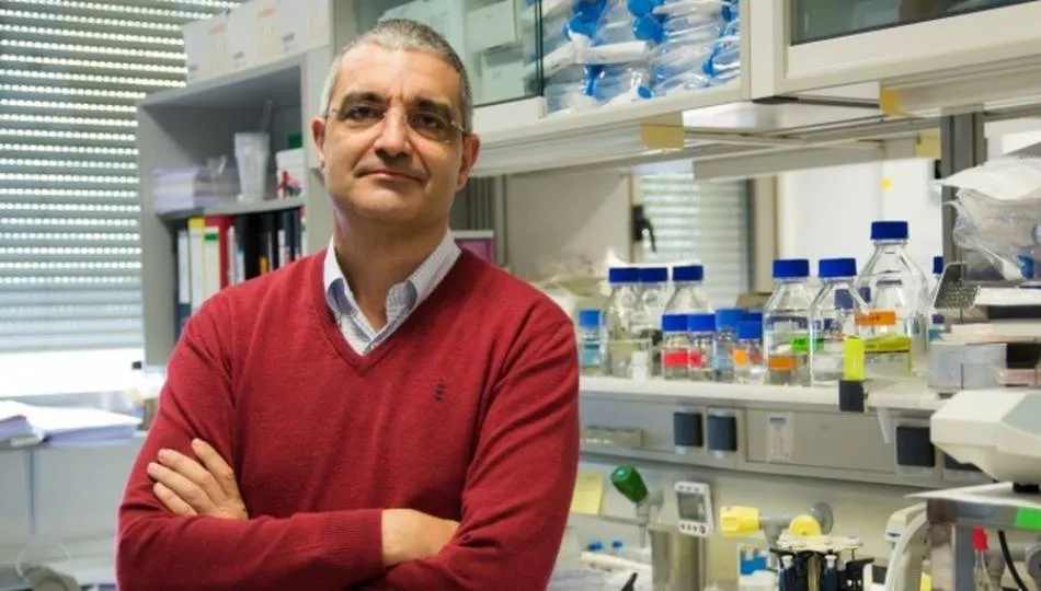 Xosé R. Bustelo, profesor de Investigación del CSIC y vicedirector del CIC-IBMCC