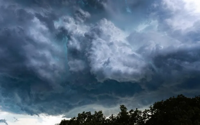 Climas extremos y el cannabis