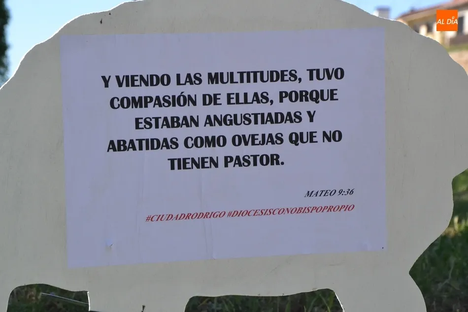 Foto 10 - Aparecen varias ovejas descarriadas por Ciudad Rodrigo para reivindicar el nombramiento de un...