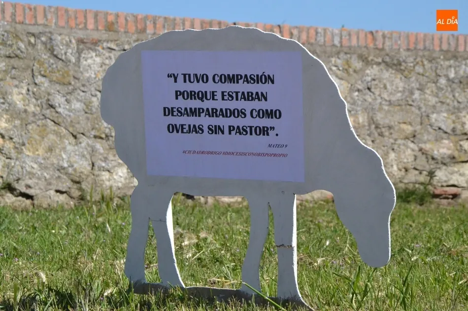 Foto 8 - Aparecen varias ovejas descarriadas por Ciudad Rodrigo para reivindicar el nombramiento de un...