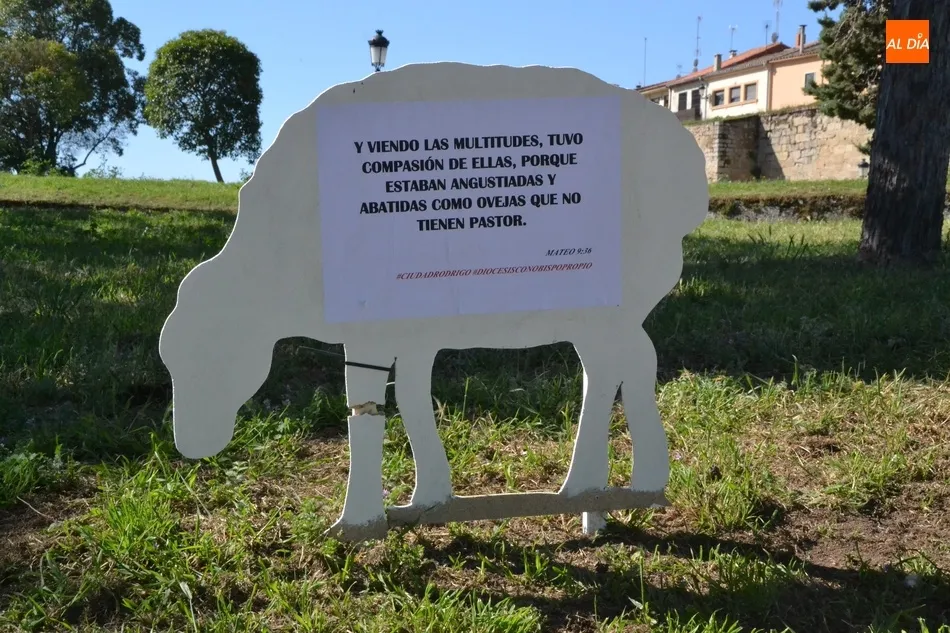 Foto 11 - Aparecen varias ovejas descarriadas por Ciudad Rodrigo para reivindicar el nombramiento de un...