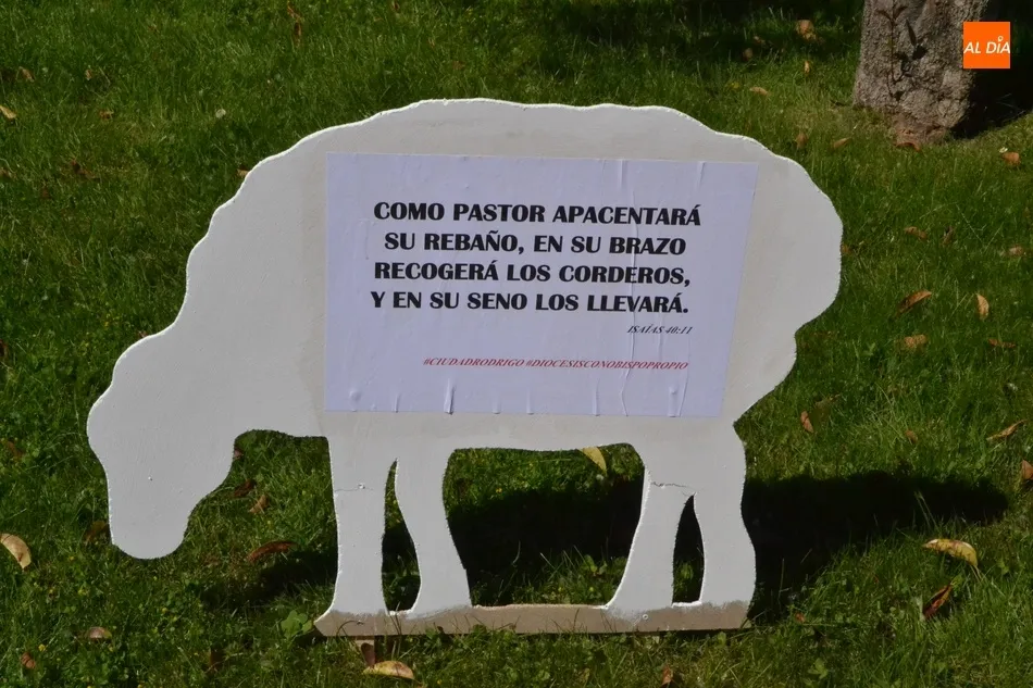 Foto 5 - Aparecen varias ovejas descarriadas por Ciudad Rodrigo para reivindicar el nombramiento de un...