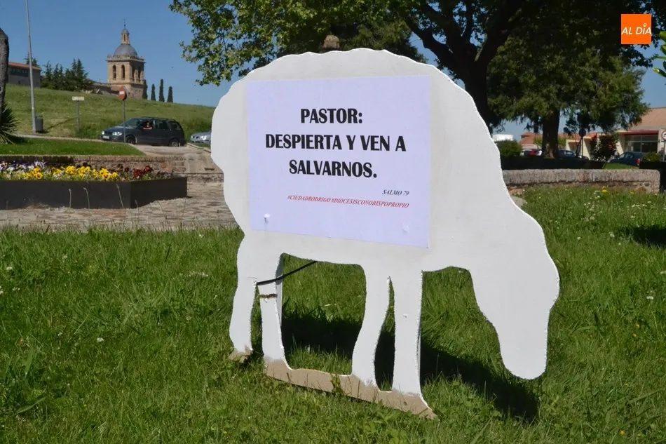 Aparecen varias ovejas descarriadas por Ciudad Rodrigo para reivindicar el nombramiento de un...