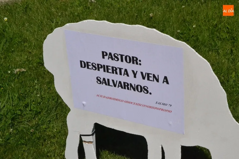Foto 4 - Aparecen varias ovejas descarriadas por Ciudad Rodrigo para reivindicar el nombramiento de un...