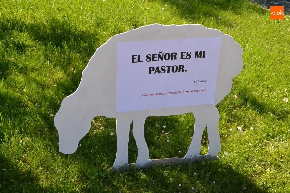 Foto 6 - Aparecen varias ovejas descarriadas por Ciudad Rodrigo para reivindicar el nombramiento de un...