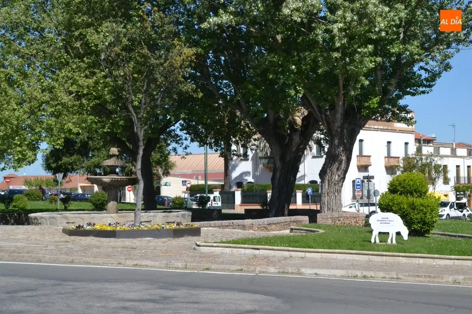 Foto 2 - Aparecen varias ovejas descarriadas por Ciudad Rodrigo para reivindicar el nombramiento de un...