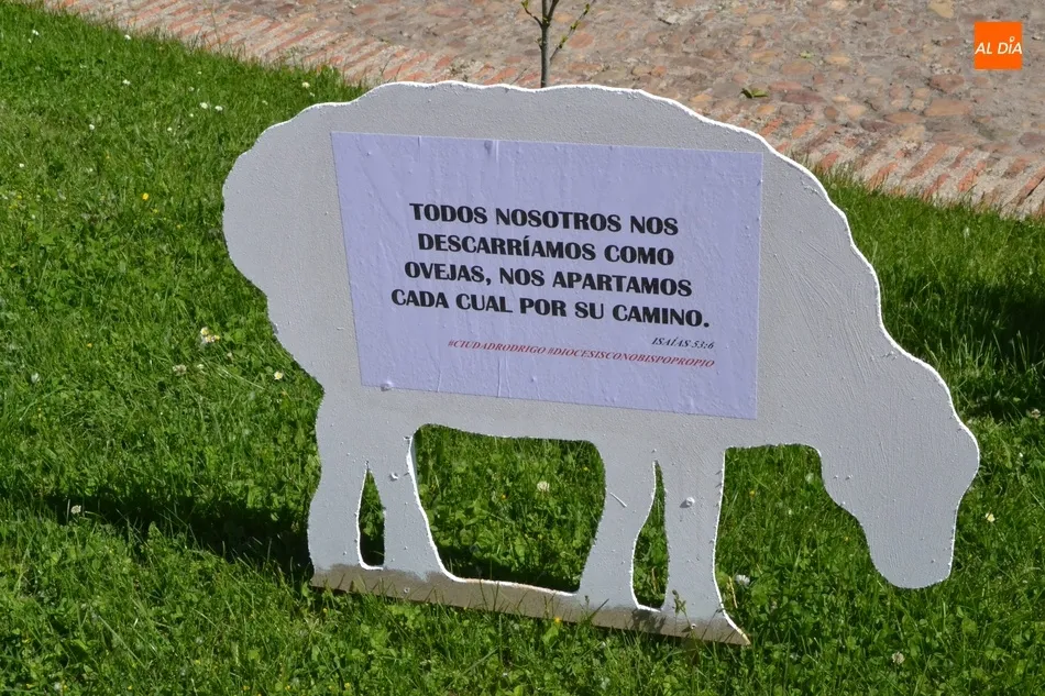 Foto 3 - Aparecen varias ovejas descarriadas por Ciudad Rodrigo para reivindicar el nombramiento de un...