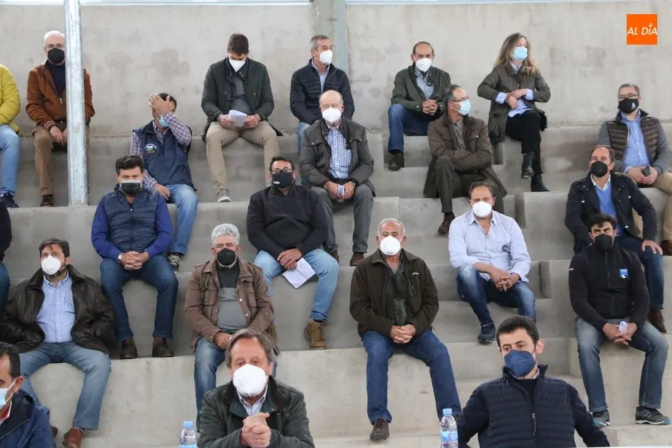 Foto 4 - Los ganaderos de la zona de Vitigudino piden la mediaci&oacute;n de Ma&ntilde;ueco en el conflicto por la...