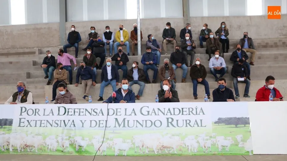 Foto 7 - Los ganaderos de la zona de Vitigudino piden la mediaci&oacute;n de Ma&ntilde;ueco en el conflicto por la...