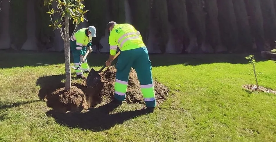 Operarios en los jardines anexos a la glorieta de Brujas. Foto EP