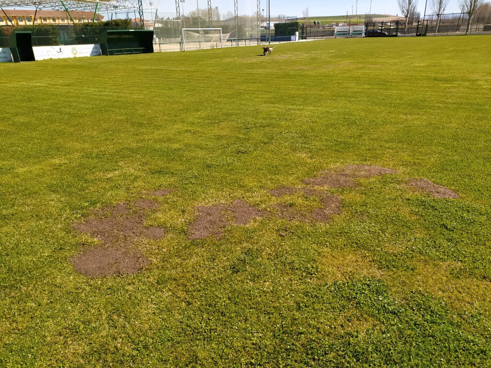 Foto 4 - Renovado el c&eacute;sped del campo de f&uacute;tbol &lsquo;La Dehesa&rsquo;