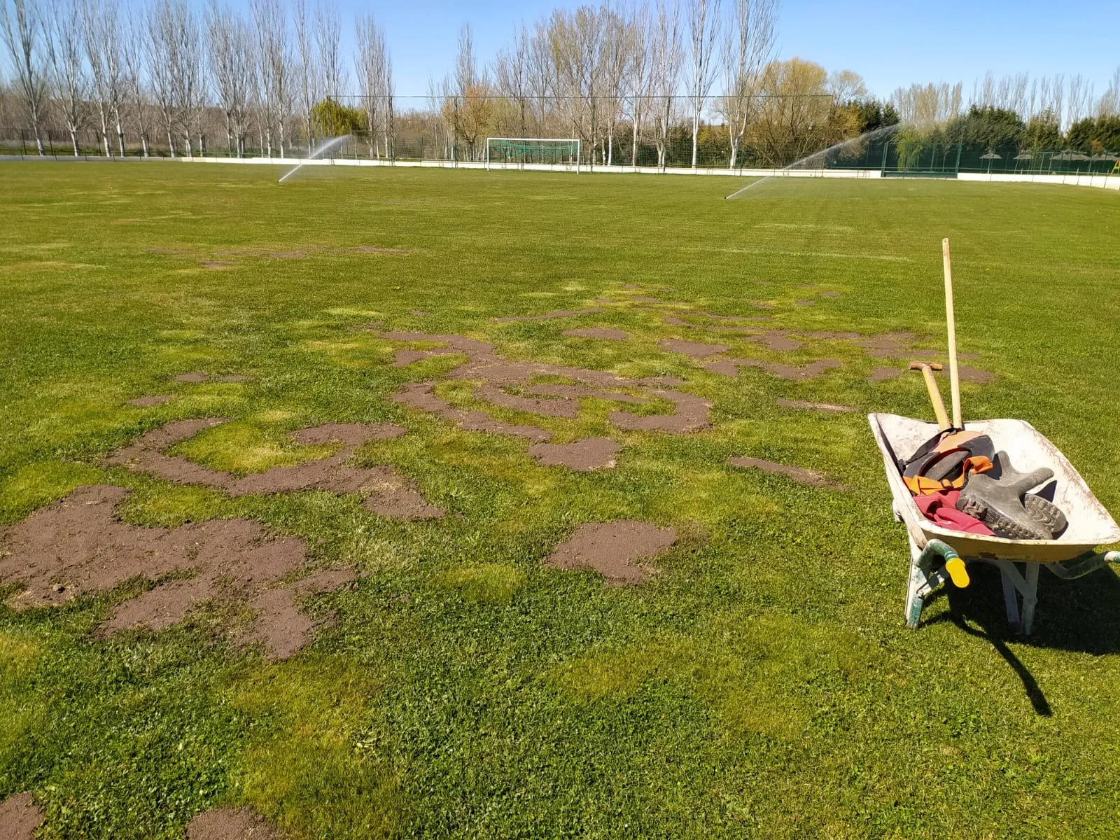 Foto 3 - Renovado el c&eacute;sped del campo de f&uacute;tbol &lsquo;La Dehesa&rsquo;
