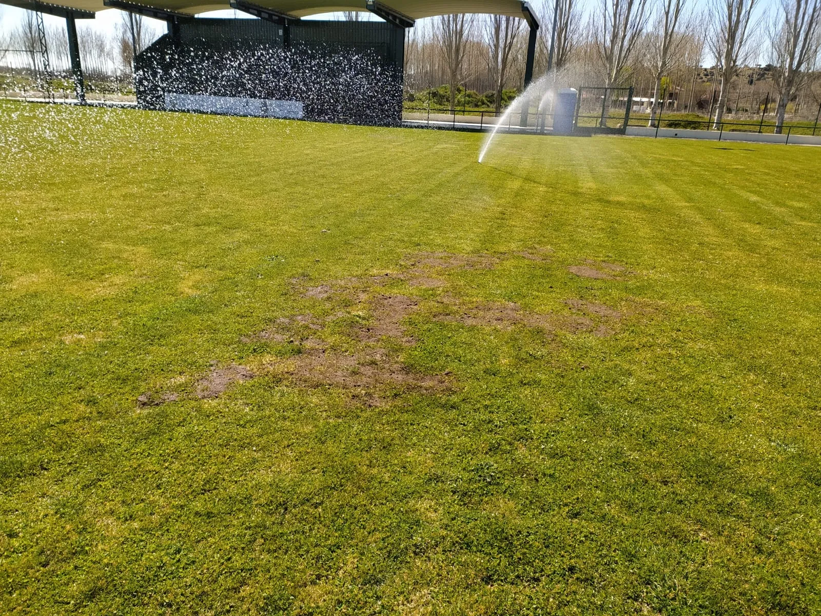 Foto 2 - Renovado el c&eacute;sped del campo de f&uacute;tbol &lsquo;La Dehesa&rsquo;