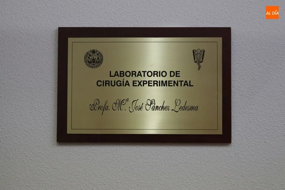 Foto 3 - Una placa en la Facultad de Medicina recordar&aacute; a la doctora Mar&iacute;a Jos&eacute; S&aacute;nchez Ledesma