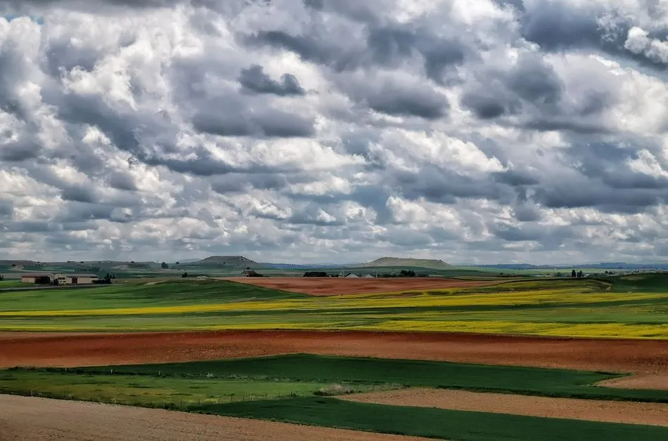 Que vienen, que vienen