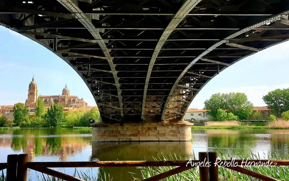 La hermosura del orden