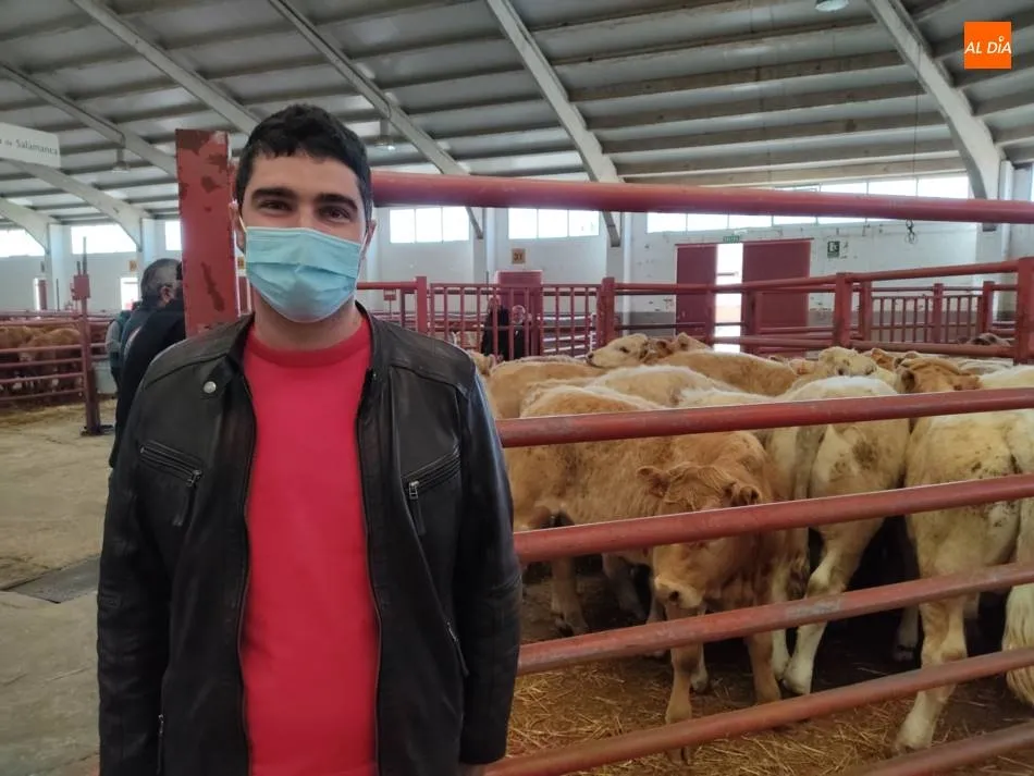 Daniel Hernández, ganadero. | Jorge Holguera