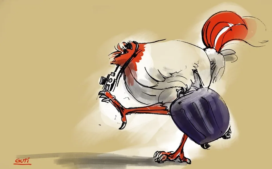 Como pollos sin cabeza 