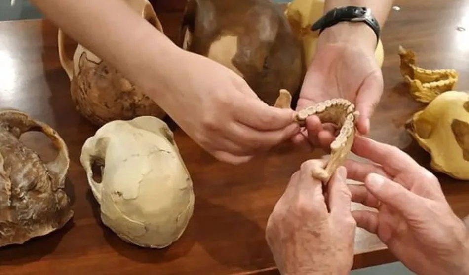 Investigadores de Salamanca y Valladolid impulsan la divulgación inclusiva del patrimonio...