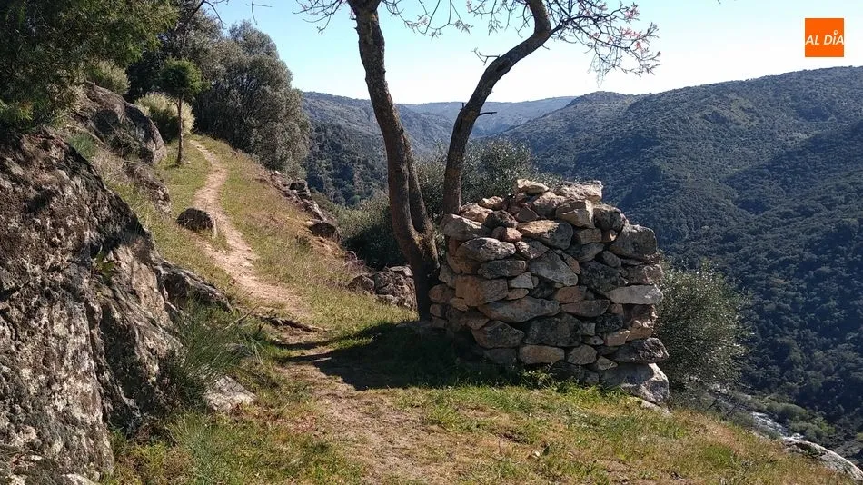 Foto 7 - El &lsquo;t&uacute;nel de los murci&eacute;lagos&rsquo; del Camino de Hierro se cerrar&aacute; al tr&aacute;nsito durante 3 meses