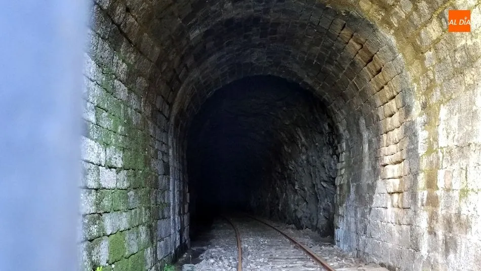 Foto 6 - El &lsquo;t&uacute;nel de los murci&eacute;lagos&rsquo; del Camino de Hierro se cerrar&aacute; al tr&aacute;nsito durante 3 meses