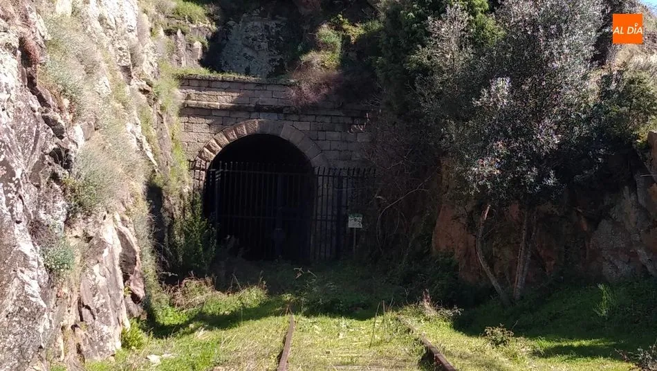 Foto 5 - El &lsquo;t&uacute;nel de los murci&eacute;lagos&rsquo; del Camino de Hierro se cerrar&aacute; al tr&aacute;nsito durante 3 meses