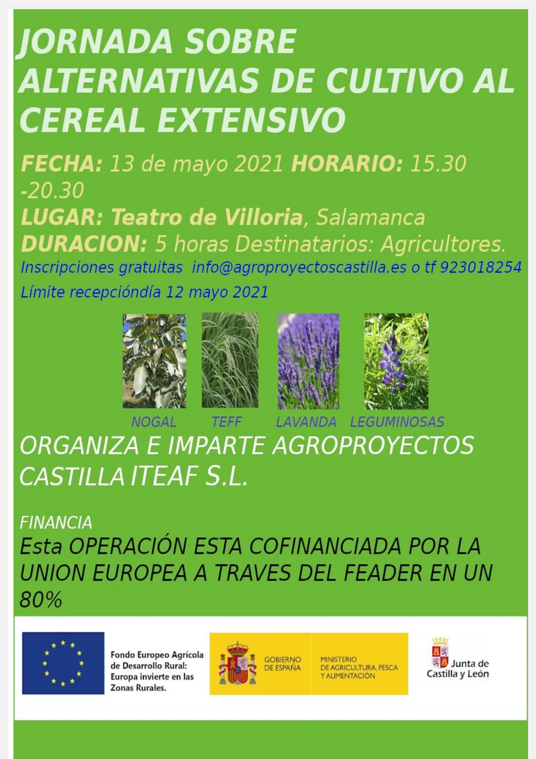 Foto 3 - Villoria acoge una jornada sobre cultivos alternativos al cereal  