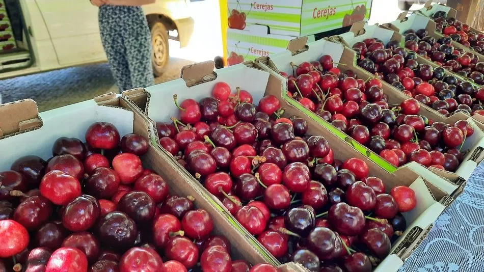 Foto 2 - Comienza la temporada de cerezas en Alf&acirc;ndega da F&eacute;: Mercadillo de la Cereza, excursiones y...