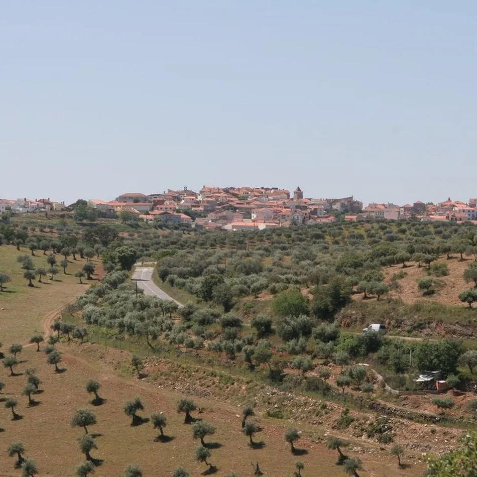 Foto 5 - Comienza la temporada de cerezas en Alf&acirc;ndega da F&eacute;: Mercadillo de la Cereza, excursiones y...