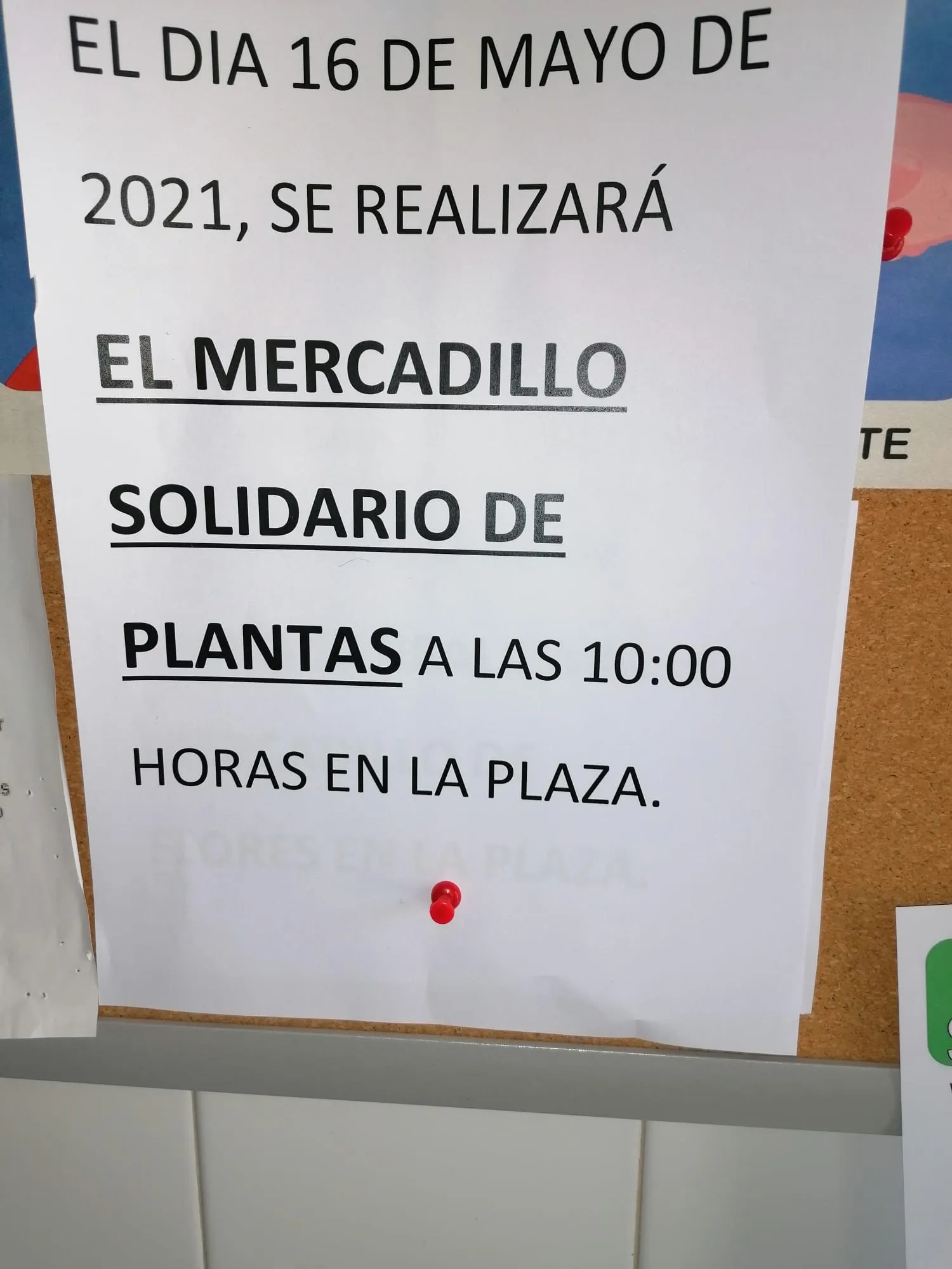 Villoruela acoge este domingo el mercadillo solidario de las plantas