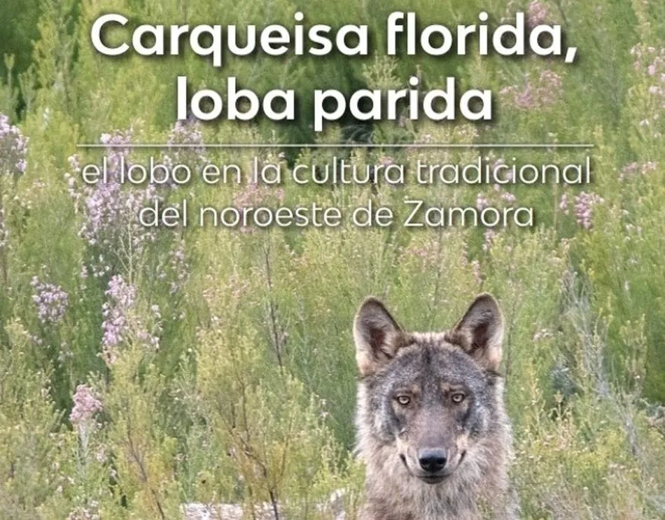 Foto 2 - Salamanca acoge la presentaci&oacute;n del libro&nbsp;'Carqueisa florida, loba parida'