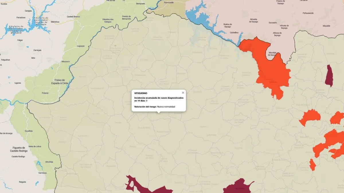 Mapa de incidencia correspondiente a 14 días / FUENTE: JCyL