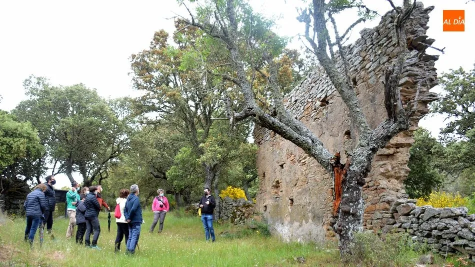 Foto 11 - Los visitantes del Castro de las Merchanas descubren el campo de piedras hincadas