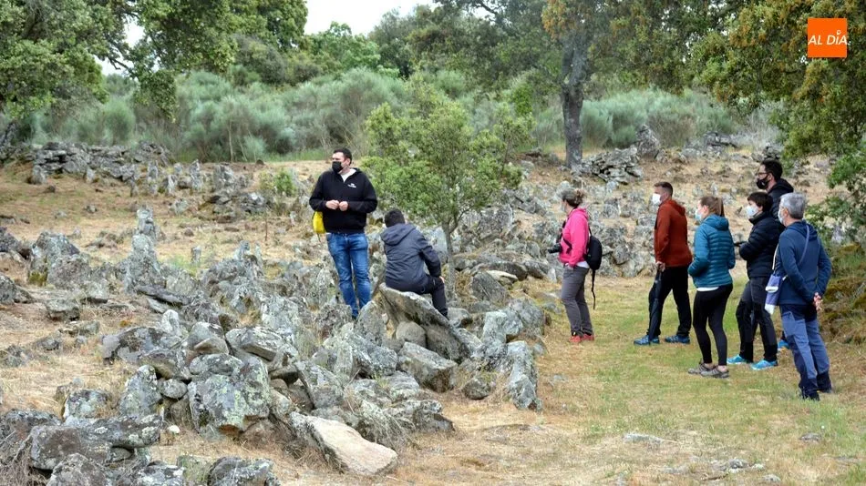Foto 6 - Los visitantes del Castro de las Merchanas descubren el campo de piedras hincadas