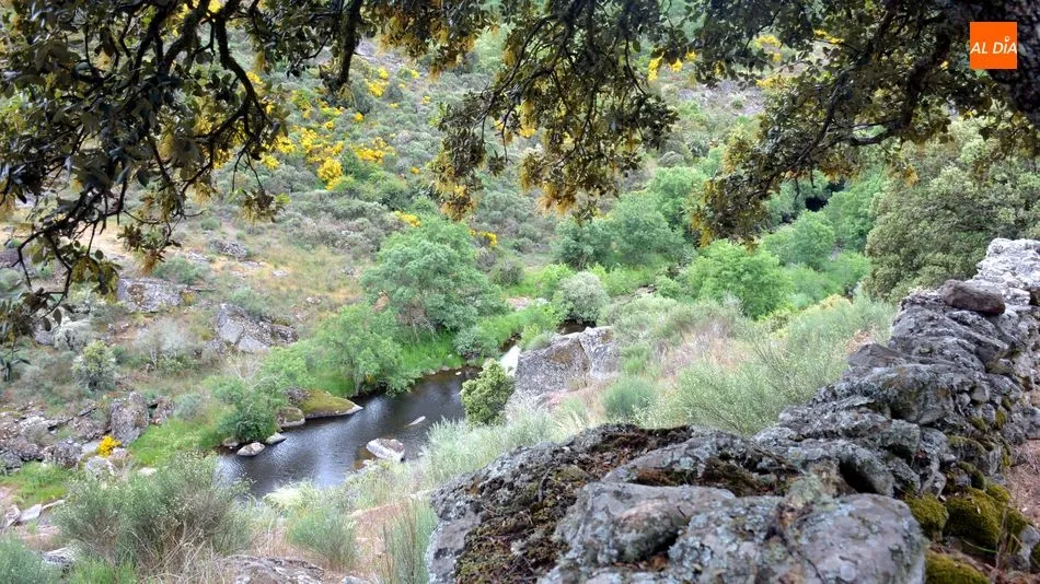 Foto 3 - Los visitantes del Castro de las Merchanas descubren el campo de piedras hincadas