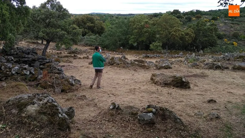 Foto 5 - Los visitantes del Castro de las Merchanas descubren el campo de piedras hincadas