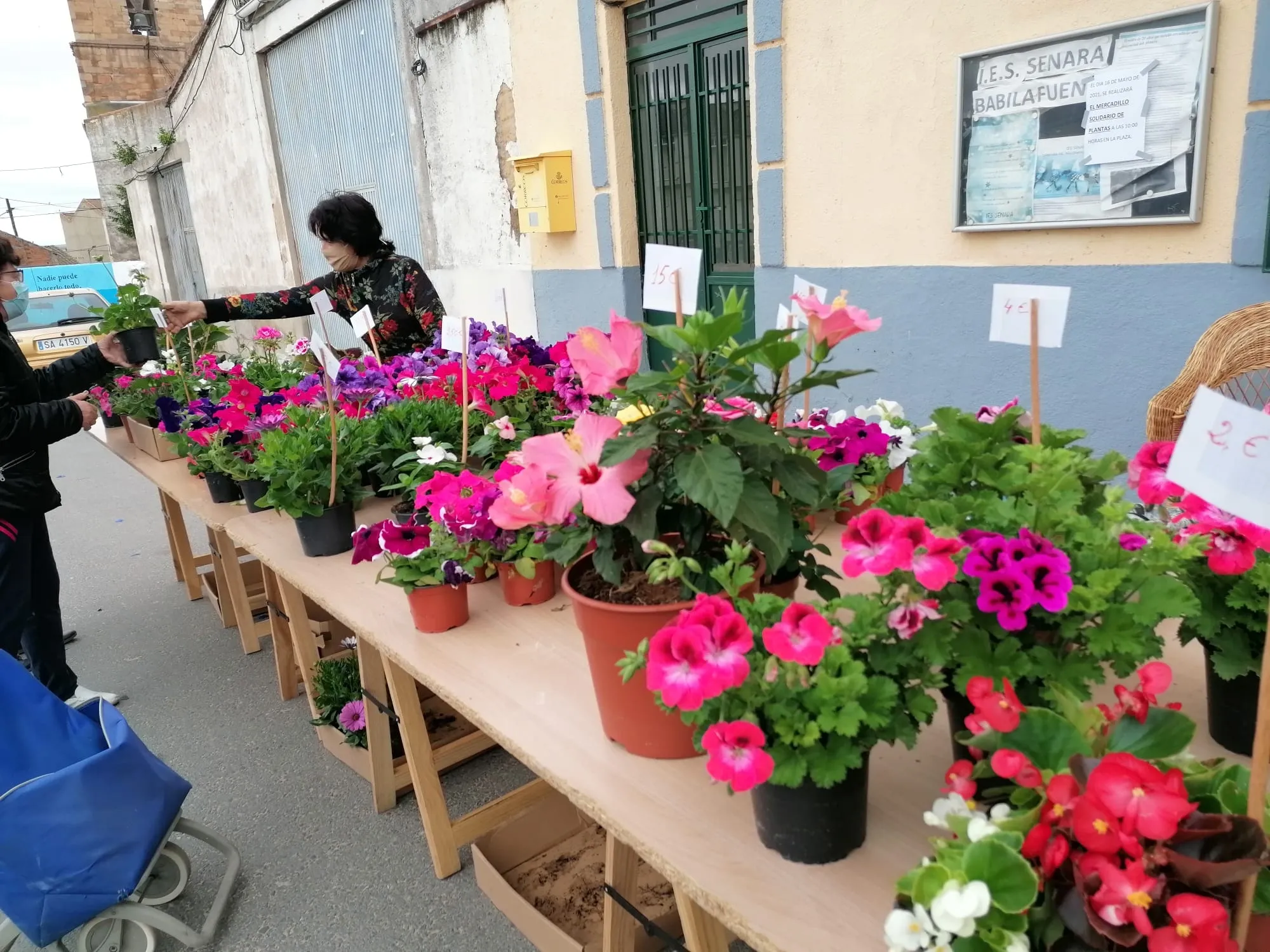 Villoruela vuelve a mostrar su solidaridad con el mercadillo de las plantas  