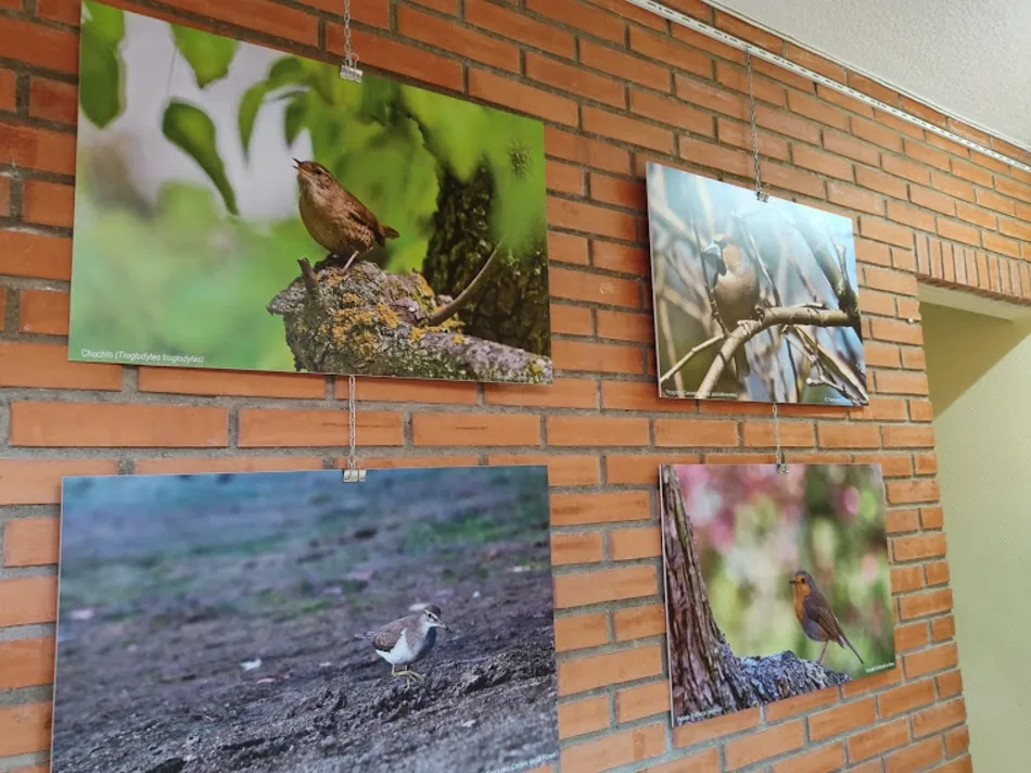 Foto 5 - La exposici&oacute;n &lsquo;Naturaleza a la puerta de casa&rsquo; podr&aacute; visitarse hasta el 11 de junio&nbsp;