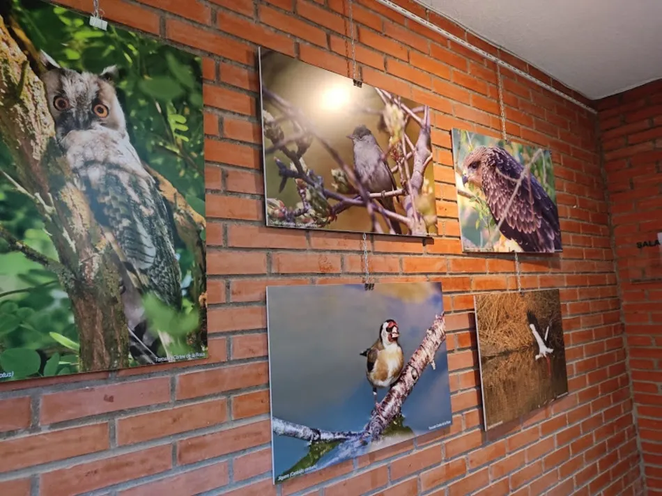 Foto 2 - La exposici&oacute;n &lsquo;Naturaleza a la puerta de casa&rsquo; podr&aacute; visitarse hasta el 11 de junio&nbsp;