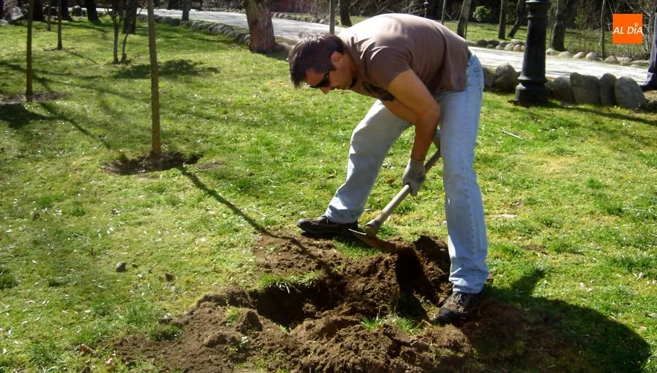 Santibañez formará parte del proyecto Arbolar