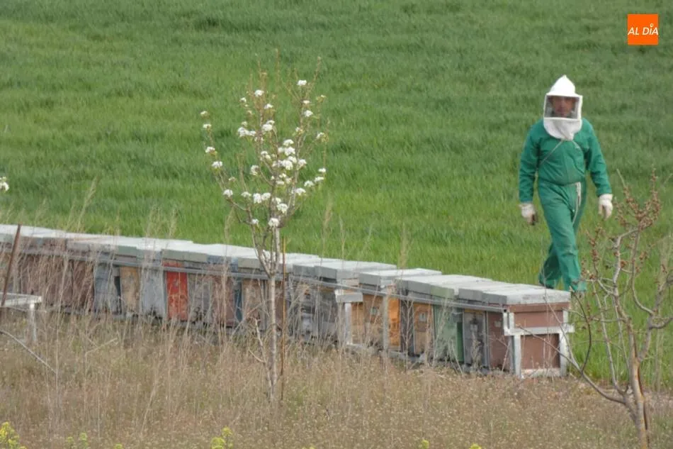 Podemos decir que tenemos una de las mejores mieles que hay en el mundo   