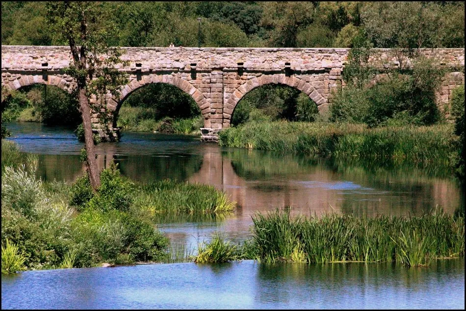 El puente romano, testigo de piedra