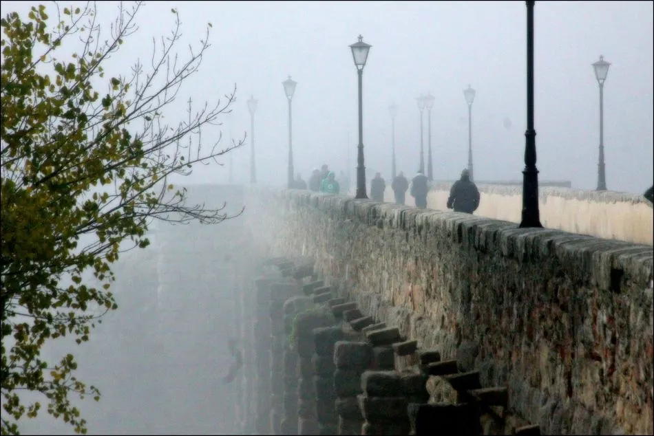 Foto 5 - El puente romano, testigo de piedra