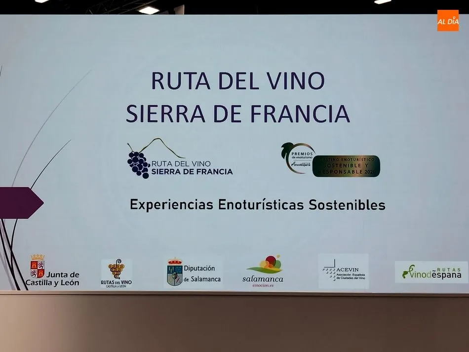 Foto 11 - La ruta del vino de la Sierra de Francia muestra sus atractivos en Fitur