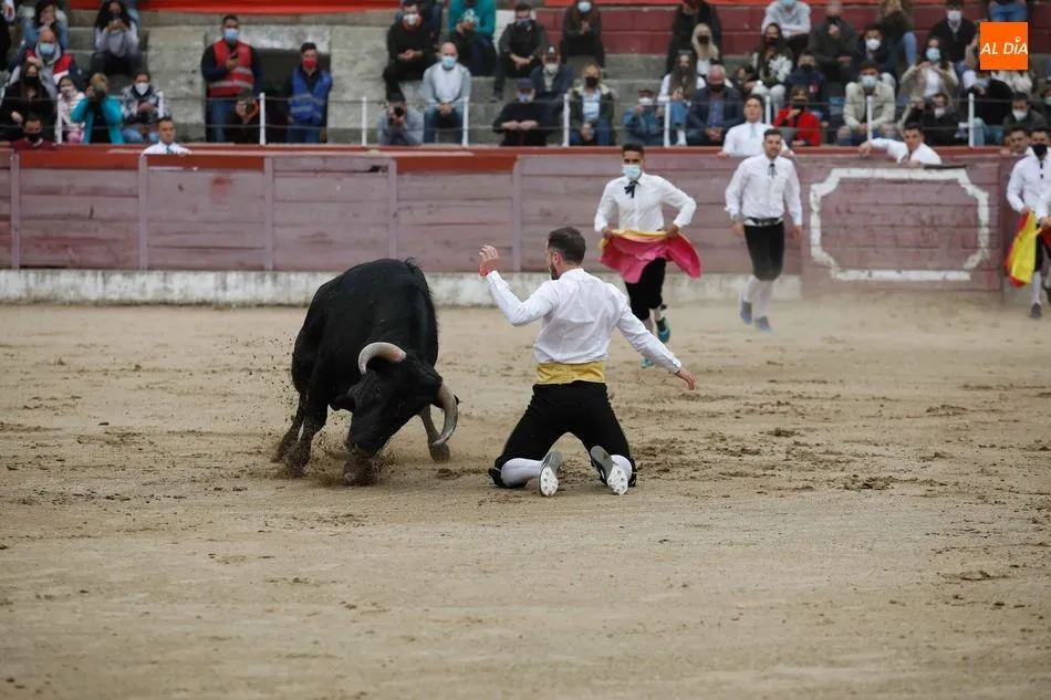 Foto 11 - El Ayuntamiento de Masueco ya tiene los toros para las fiestas de agosto  