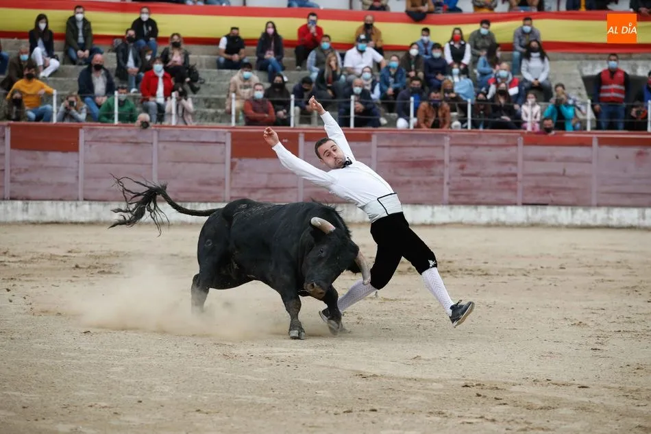 Foto 9 - El Ayuntamiento de Masueco ya tiene los toros para las fiestas de agosto  